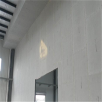 庆安宁波ALC板|EPS加气板隔墙与混凝土整浇联接的实验研讨